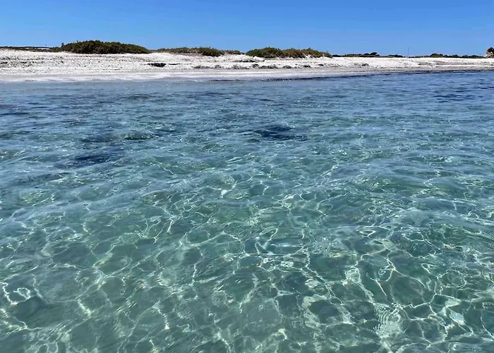 Daire Casa Nuova Indipendente In Sardegna Laerru
